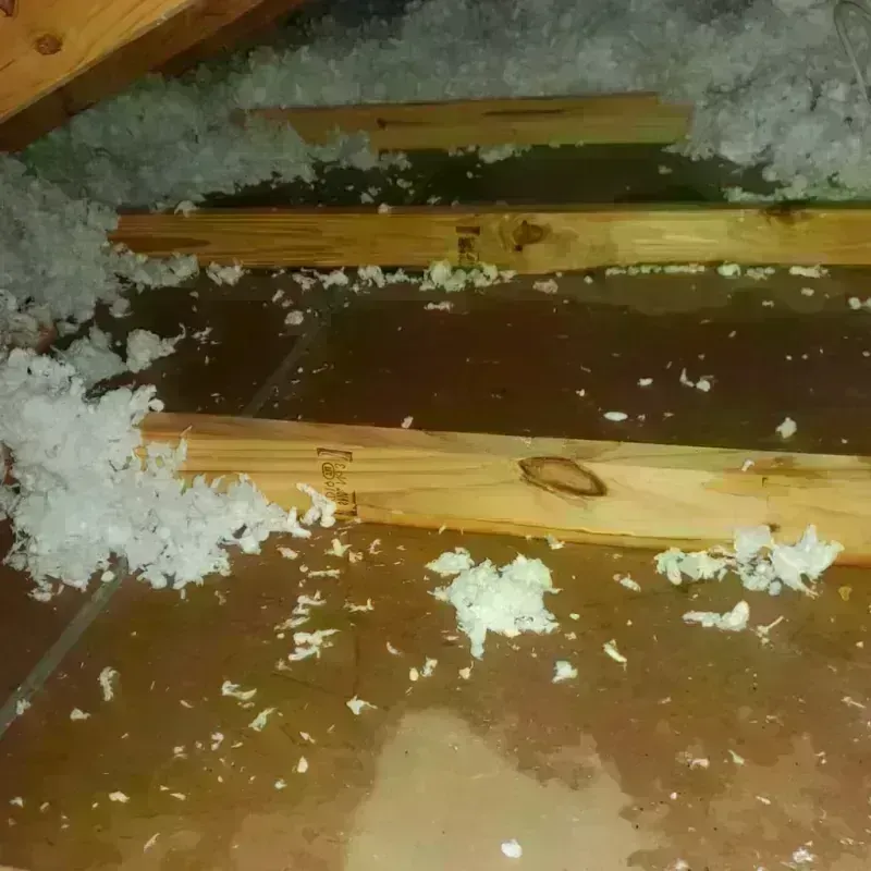 Attic Water Damage in Midlothian, IL