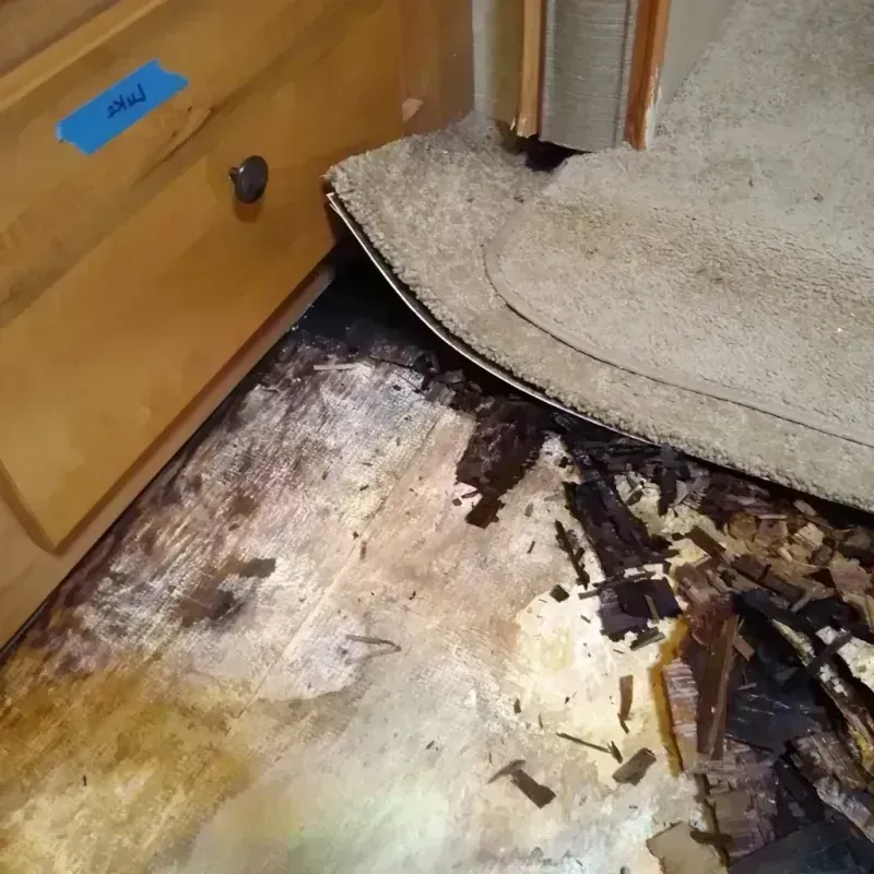 Wood Floor Water Damage in Midlothian, IL